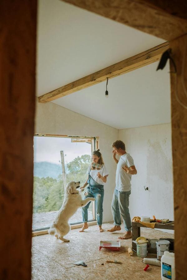 constructelle generale du batiment renovations travaux